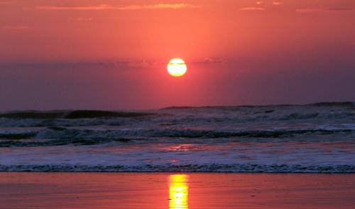 A descoberta do belo