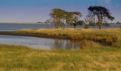 Ora&ccedil;&atilde;o pela cria&ccedil;&atilde;o 
